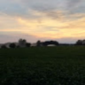 Meet your Posher, Isaac